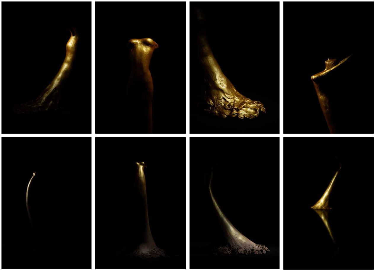 Emergindo da Terra — approved portfolio composition